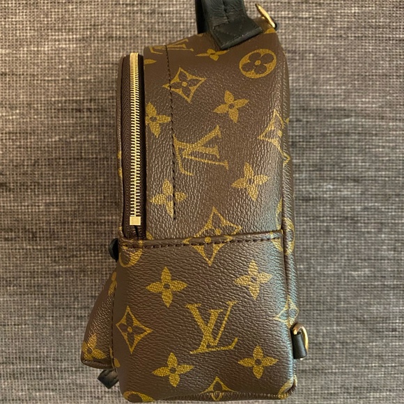 Louis Vuitton | Palm Springs Mini